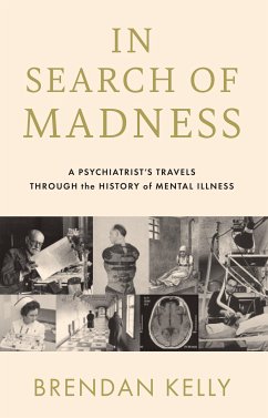 In Search of Madness (eBook, ePUB) - Kelly, Brendan