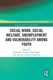 Social Work, Social Welfare, Unemployment and Vulnerability Among Youth (eBook, ePUB)