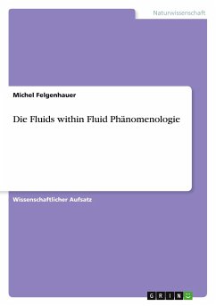Die Fluids within Fluid Phänomenologie