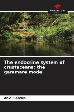 The endocrine system of crustaceans: the gammare model - Sondes, Abidi