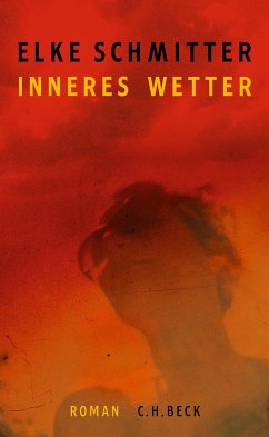 Inneres Wetter (Mängelexemplar) - Schmitter, Elke