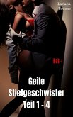 Geile Stiefgeschwister Teil 1 - 4 (eBook, ePUB)