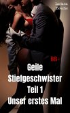 Geile Stiefgeschwister - Teil 1 (eBook, ePUB)