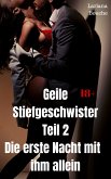 Geile Stiefgeschwister - Teil 2 (eBook, ePUB)