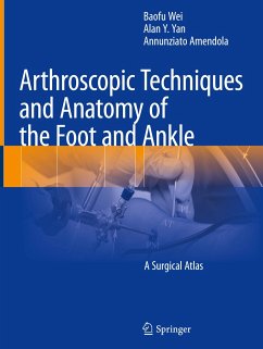 Arthroscopic Techniques and Anatomy of the Foot and Ankle - Wei, Baofu;Yan, Alan Y.;Amendola, Annunziato
