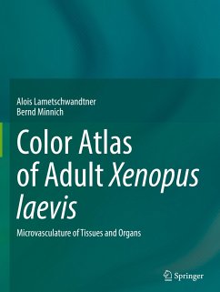 Color Atlas of Adult Xenopus laevis - Lametschwandtner, Alois;Minnich, Bernd