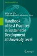 Handbook of Best Practices in... - Bild 1