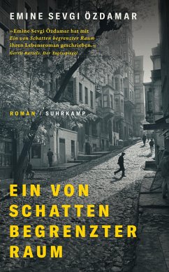 Ein von Schatten begrenzter Raum - Özdamar, Emine Sevgi