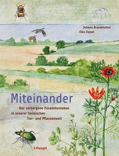 Miteinander - Brandstetter, Johann;Zippel, Elke