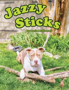 Jazzy Sticks - McGiboney, Sonja