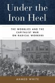 Under the Iron Heel (eBook, ePUB)