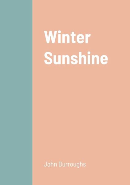 Winter Sunshine Winter Sunshine