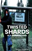 Twisted Shards Of A Demented Soul: Poems and Writings