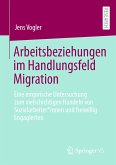 Arbeitsbeziehungen im Handlungsfeld Migration (eBook, PDF)