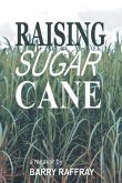 Raising Sugar Cane (eBook, ePUB)