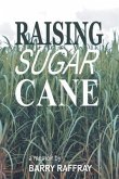 Raising Sugar Cane (eBook, ePUB) Raising Sugar Cane (eBook, ePUB)