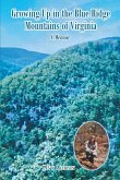 Growing Up in the Blue Ridge Mountains of Virginia (eBook, ePUB)
