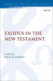 Exodus in the New Testament (eBook, ePUB)