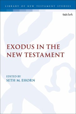 Cover Exodus in the New Testament (eBook, PDF)