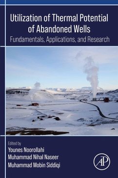 Utilization of Thermal Potential of Abandoned Wells (eBook, ePUB)