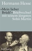 »Mein lieber Brüdi!« (eBook, ePUB)