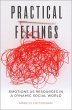 Practical Feelings (eBook, PDF) - Bild 1