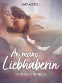 An meine Liebhaberin – Erotische Novelle (eBook, ePUB)