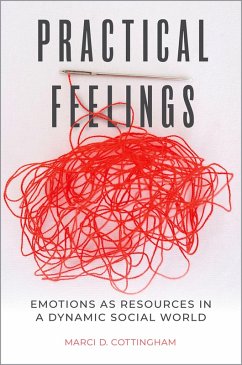Cover Practical Feelings (eBook, ePUB)