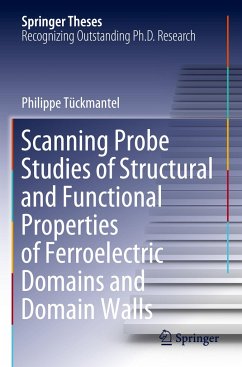 Scanning Probe Studies of Structural and Functional Properties of Ferroelectric Domains and Domain Walls - Tückmantel, Philippe