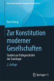Zur Konstitution moderner Gesellschaften (eBook, PDF)