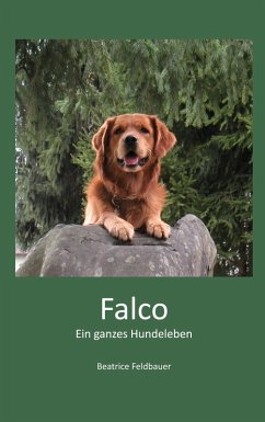 Falco (eBook, ePUB)