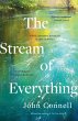 The Stream of Everything (eBook, ePUB) - Bild 1