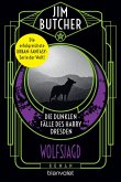 Wolfsjagd / Die dunklen Fälle des Harry Dresden Bd.2 (eBook, ePUB)