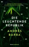 Die leuchtende Republik (eBook, ePUB)