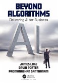 Beyond Algorithms (eBook, ePUB)