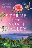 Sterne über Noah Valley (eBook, ePUB)