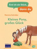 Kleines Pony, großes Glück / Erst ich ein Stück, dann du Bd.2 (eBook, ePUB)