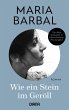 Wie ein Stein im Geröll (eBook, ePUB) - Bild 1