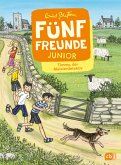 Timmy, der Meisterdetektiv / Fünf Freunde Junior Bd.8 (eBook, ePUB)