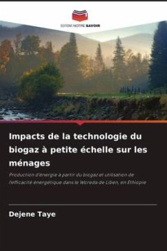 Impacts de la technologie du biogaz à petite échelle sur les ménages - Taye, Dejene