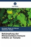 Bekämpfung der Miniermotte(Liriomyza trifolii) an Tomate
