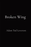 Broken Wing