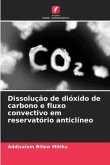 Dissolução de dióxido de carbono e fluxo convectivo em reservatório anticlíneo