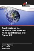 Applicazione del modello WEAP-MABIA nello spartiacque del fiume UR
