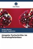 Jüngste Fortschritte im Granatapfelanbau