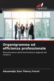 Organigramma ed efficienza professionale