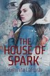 The House of Spark (eBook, ePUB) - Bild 1