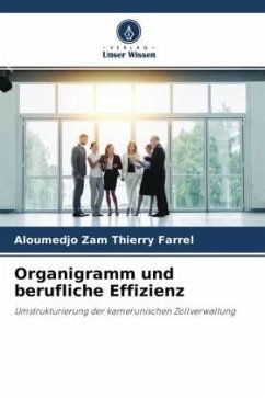 Organigramm und berufliche Effizienz - Thierry Farrel, Aloumedjo Zam