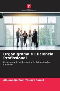 Organigrama e Eficiência Profissional - Thierry Farrel, Aloumedjo Zam