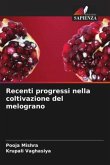 Recenti progressi nella coltivazione del melograno